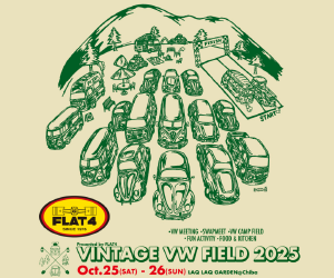 VINTAGE VW FIELD 2025